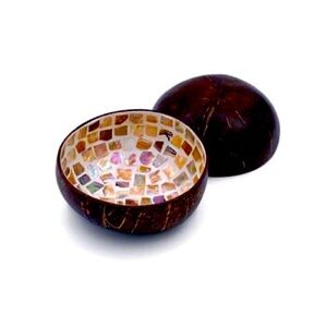 Real Organic Useable Mother of pearl coconut bowl